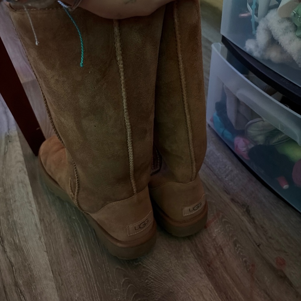 Uggs - image 1